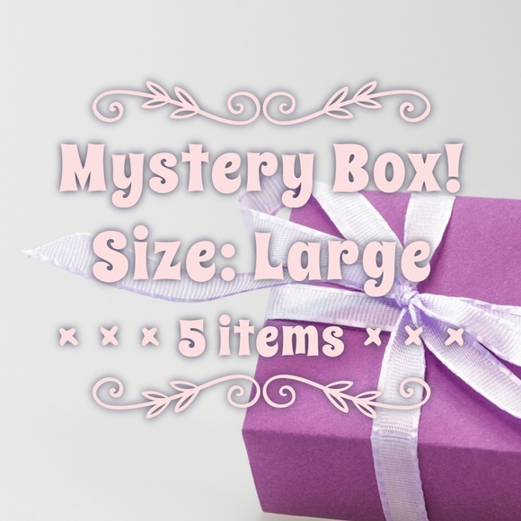 Tops - BRAND NEW Mystery juniors clothing box size Large